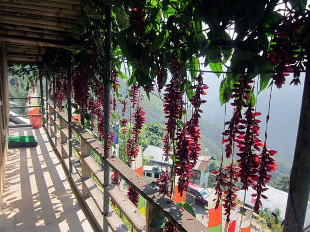 The Sana Home Stay, Rikkisum, Kalimpong 3